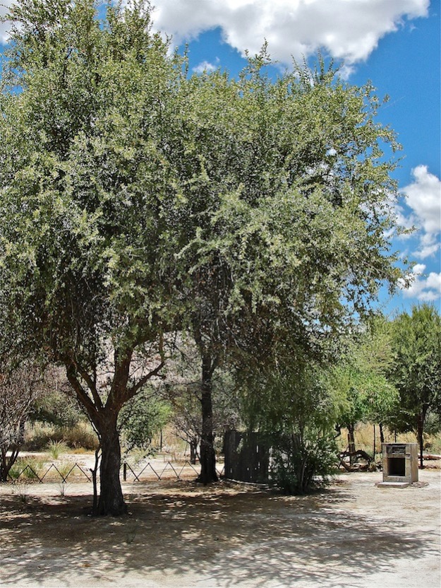 ameib-gästehaus-camping-phillips-cave-bulls-party©hagen-denker_7