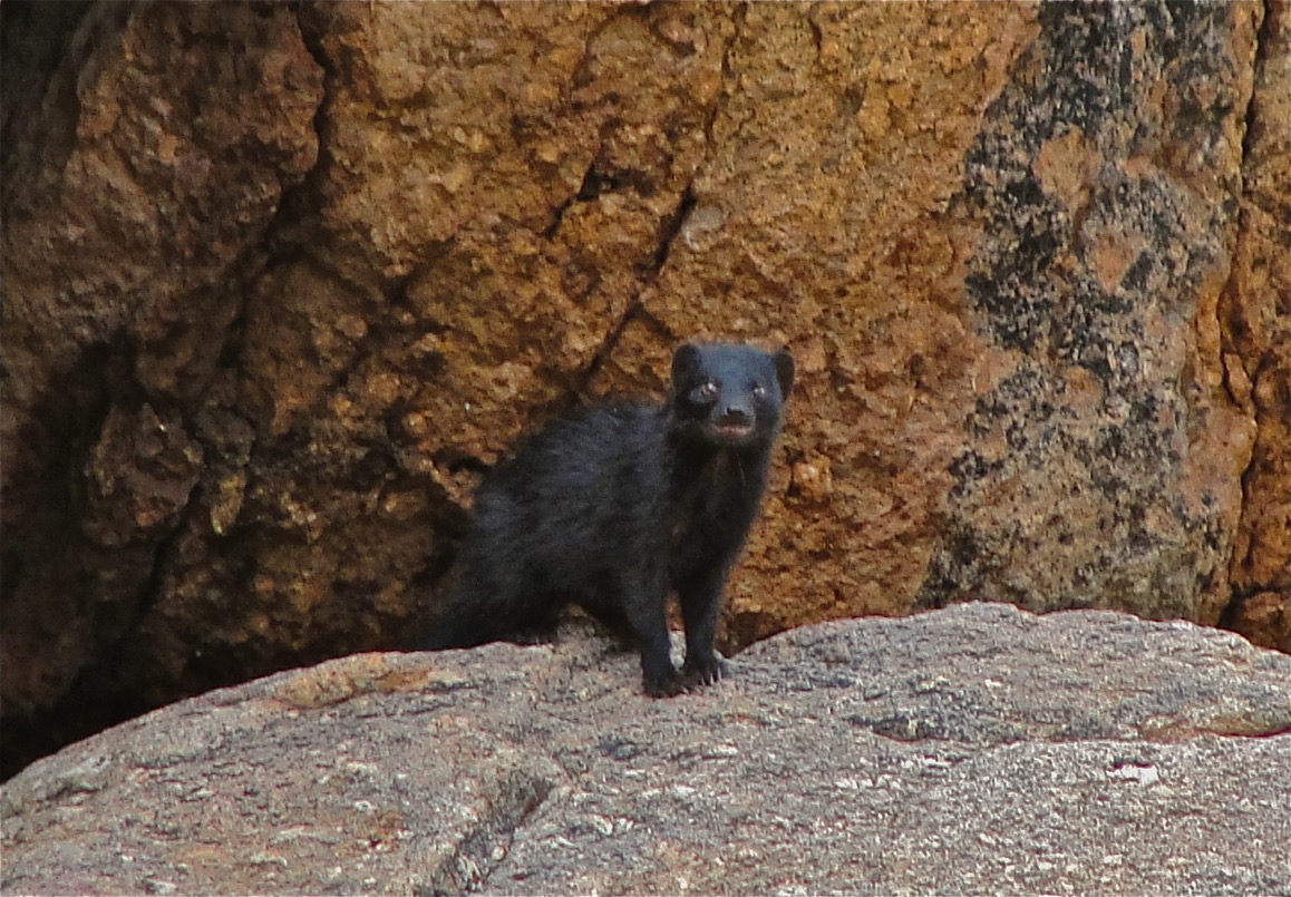 ameib-gästehaus-camping-phillips-cave-bulls-party©hagen-denker_13